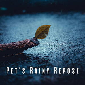 Gentle Rain for Furry Friends