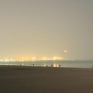 杀死那个石家庄人