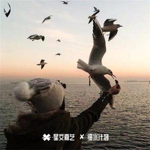 我希望有个如你一般的人