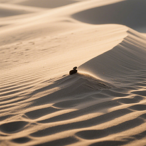 Sand Whisper