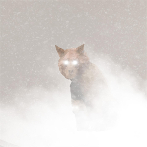 See What You Wanna See