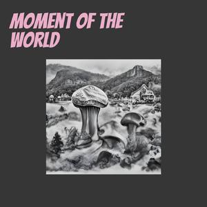 Moment of the World
