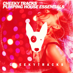 Big Daddy Anthem (Original Mix)