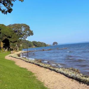 Positive vibez (sounds)