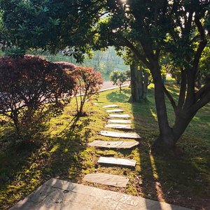 长沙的旧站牌