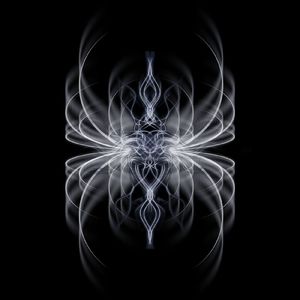 Идите лесом