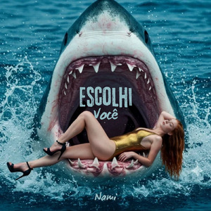 Escolhi Você