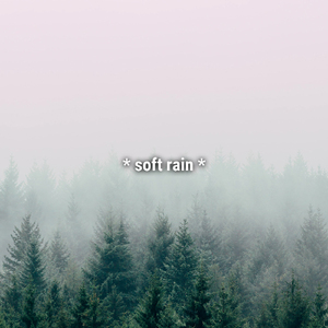 asmr rain sounds