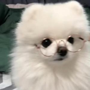 小步舞曲（翻自 陈绮贞）