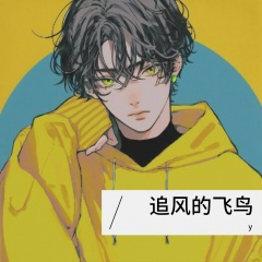 追风的飞鸟