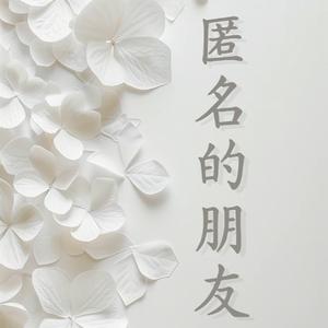 匿名的朋友（精简版）