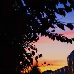 忽而今夏（cover.汪苏泷）