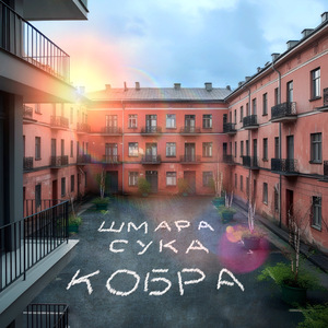 Шмара. Сука. Кобра.