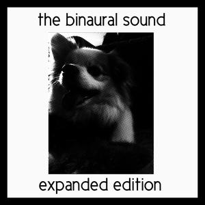 Plaining (Sick At Home Demos)