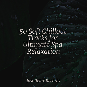 Mystic Rhapsody's Cadence