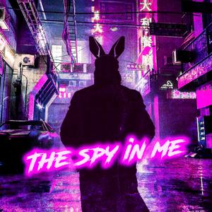 The Spy in me