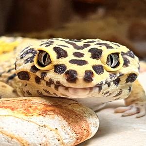 OUTTA MY MIND (feat. CrimsonZ?) (DEMO)