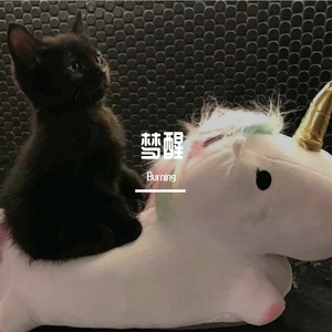 梦醒了（prod by poree）