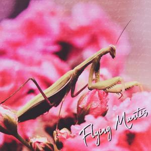 Flying Mantis