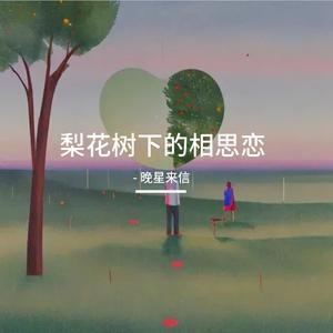 梦觅旧香