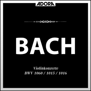Sonate No. 2 für Violine und Cembalo in A Major, BWV 1051: III. Andante un poco