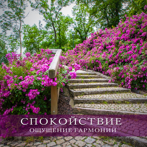 Пробуждение