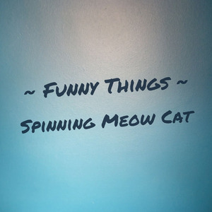 Funny Things, Spinning Meow Cat (Remastered 2024)