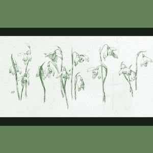 My Heart’s Memories of the Winds