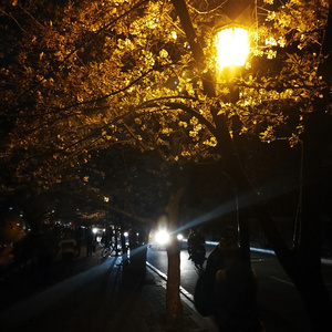 不用明天我们也有力量