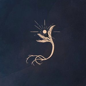 Noon (Live August '22)