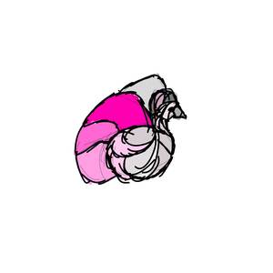 walk in your rainbow paradise