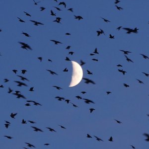 全国语Fk咚鼓风格抖音2023伤感专辑