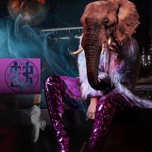 Elefant