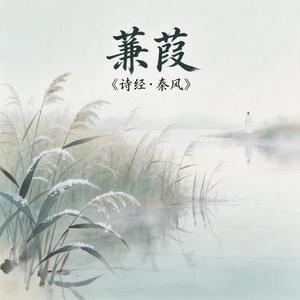 蒹葭苍苍