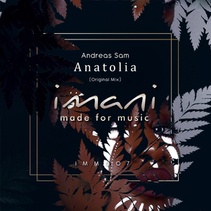 Anatolia (Original Mix)