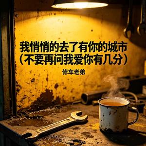 我悄悄的去了有你的城市(不要再问我爱你有几分)