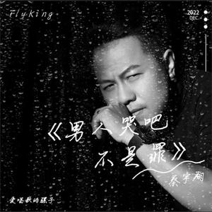 男人哭吧不是罪 (致敬版 伴奏)