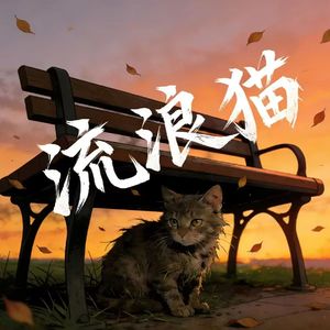 流浪猫