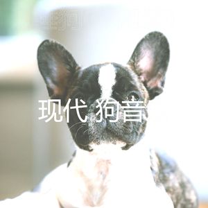 睡觉的小狗(优秀的)