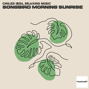 Meditare Per Guarire