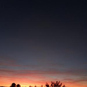 Bajo la Luna