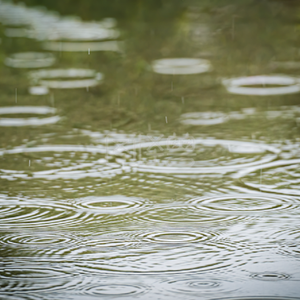 琵琶协奏曲《细雨湿流光》-彭家鹏+李佳+苏州民族管弦乐团-2025年7月31日苏州民族管弦乐团音乐厅