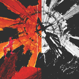 泪眼问花花不语