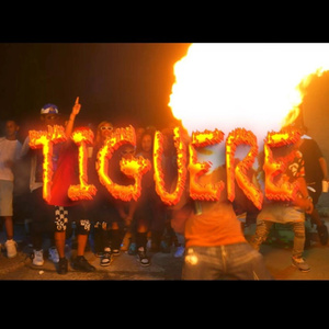 TIGUERE