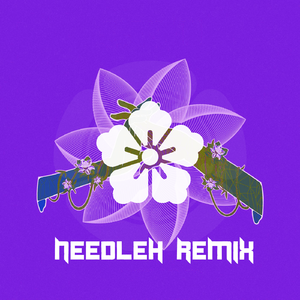 Slushii-Never Let You Go（NeedleH remix）