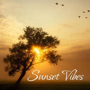Sunset Vibes
