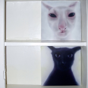 Water Type Girls (Friends)