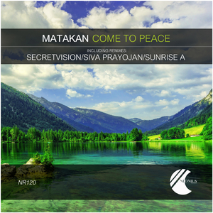Come to Peace (Secretvision Remix)