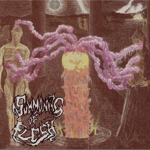 Licking The Dead Flesh