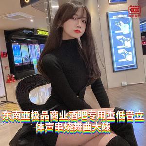 DJ国飞-东南亚极品商业酒吧专用重低音立体声串烧舞曲大碟（DJ国飞 remix）